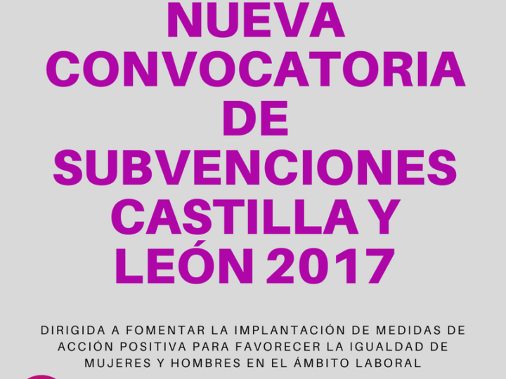 SUBVENCIÓN CASTILLA Y LEÓN 2017
